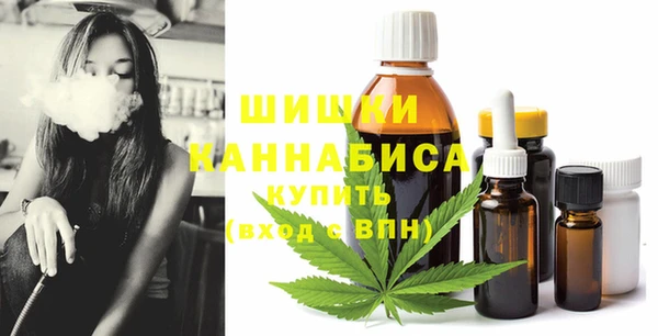 дживик Медвежьегорск