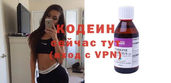 гашик Апатиты