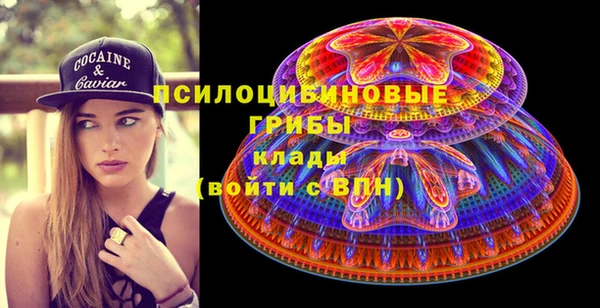 дживик Медвежьегорск
