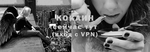стаф Анива